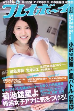 主人，调教，惩罚，h